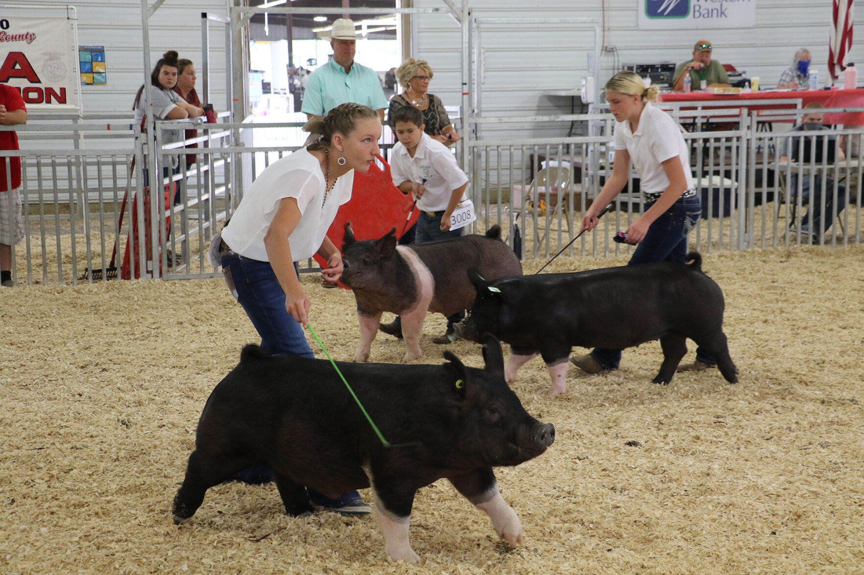 PHOTOS: Pig Showmanship